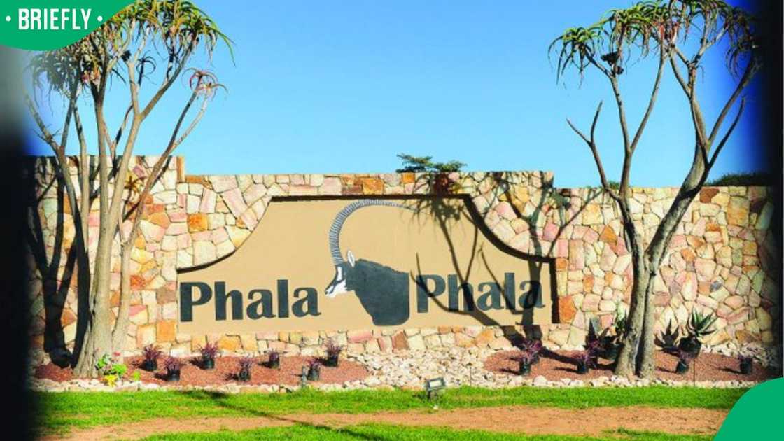 The President wants to challenge the report into Phala Phala The President wants to challenge the report into Phala Phala