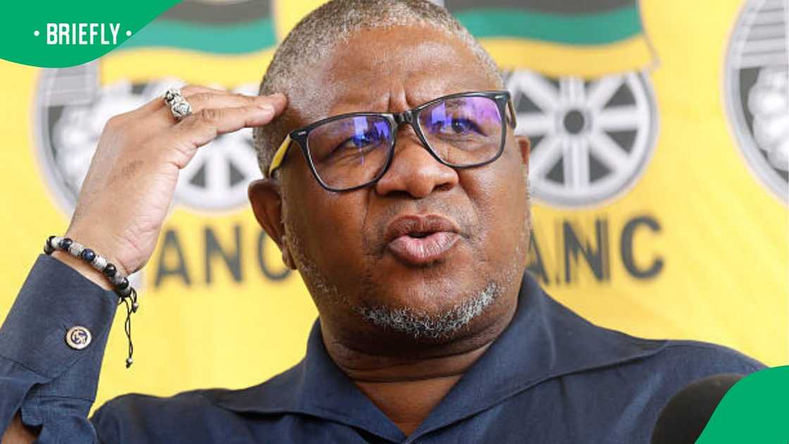 Fikile Mbalula