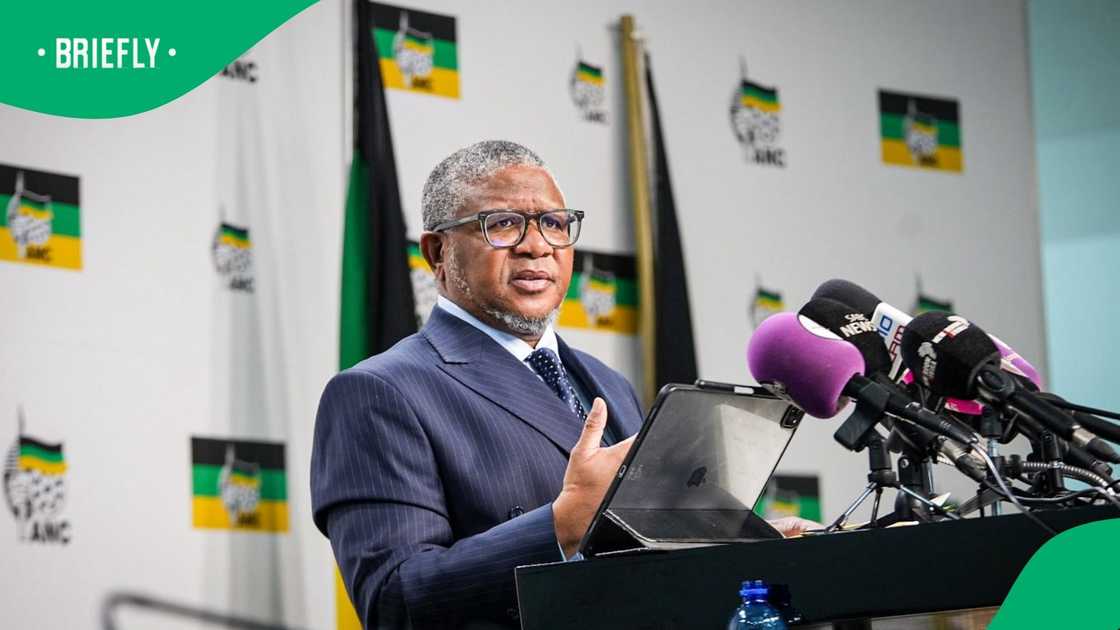 ANC Secretary-General Fikile Mbalula warned that anti-illegal immigration movements have political influence ANC Secretary-General Fikile Mbalula warned that anti-illegal immigration movements have political influence