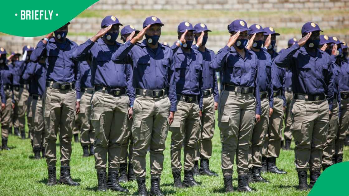 Members of the JMPD who went viral for drinking in a work vehicle were suspended Members of the JMPD who went viral for drinking in a work vehicle were suspended