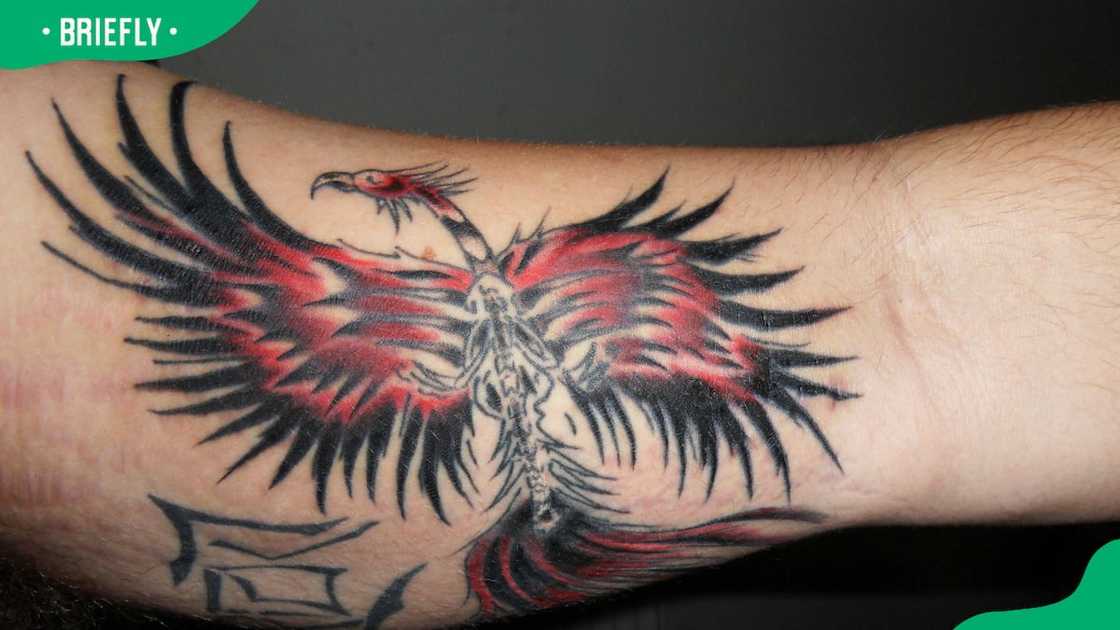 Skeletal phoenix tattoo Skeletal phoenix tattoo