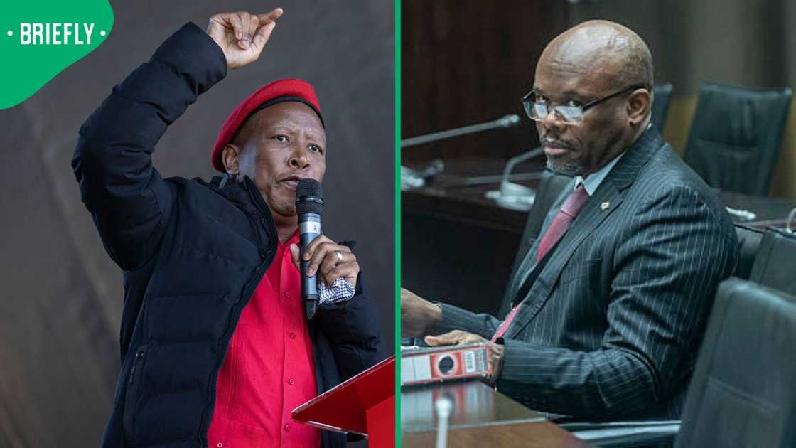 Julius Malema explained why he was not present when Lieutenant General Shadrack Sibiya appeared before Parliament