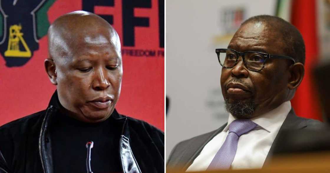 Economic Freedom Fighters leader Julius Malema & Finance Minister Enoch Godongwana