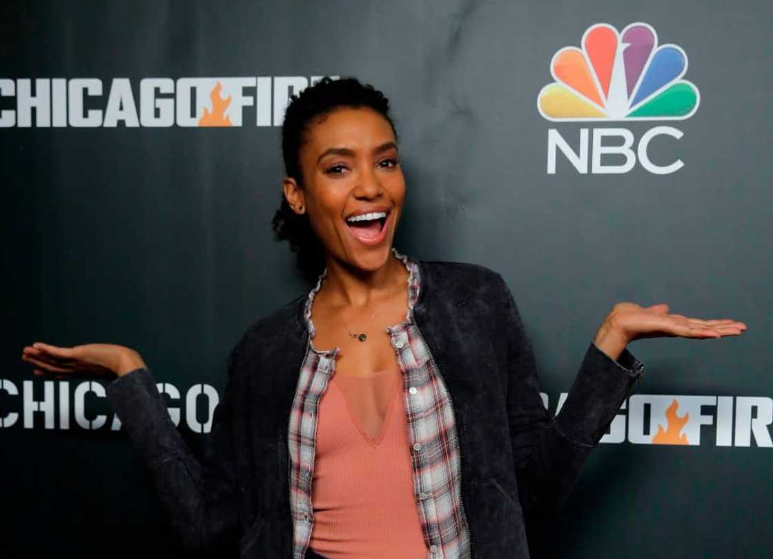 Who plays Annie on Chicago PD? Who plays Annie on Chicago PD?