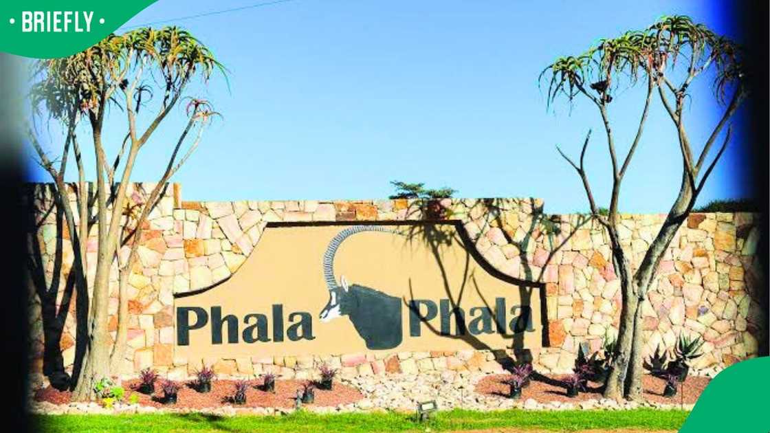 The Phala Phala scandal remains in the headlines