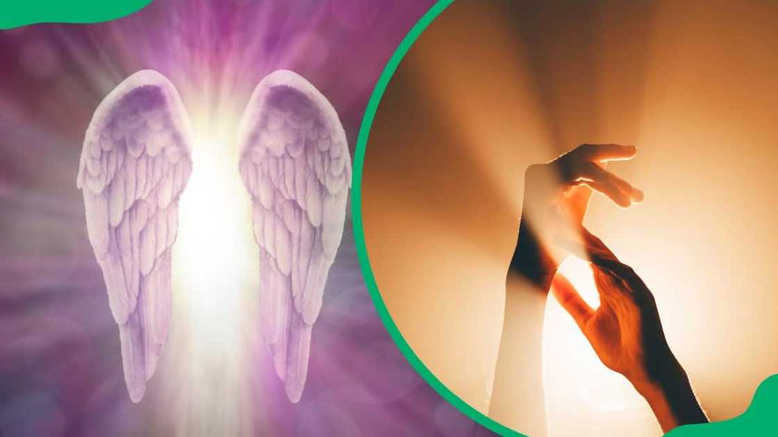 2222 angel number 2222 angel number