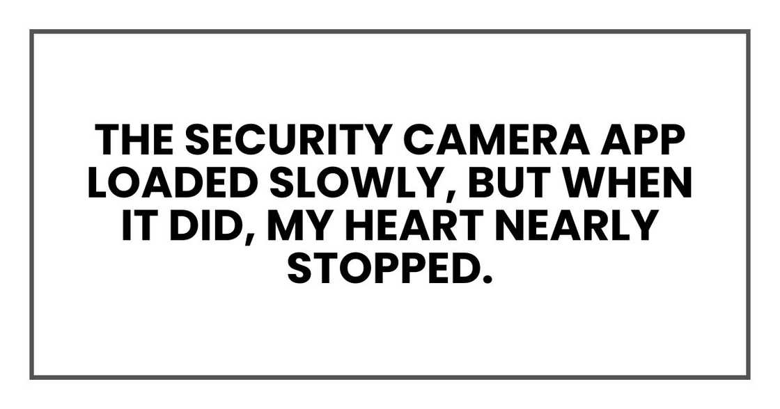 The security camera app loaded slowly, but when it did, my heart nearly stopped. The security camera app loaded slowly, but when it did, my heart nearly stopped.