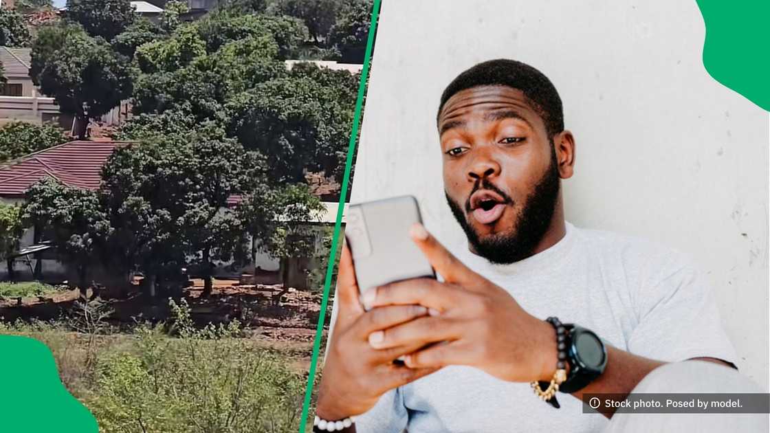 A TikTok video shows homes in Venda, Limpopo that wowed South Africans.