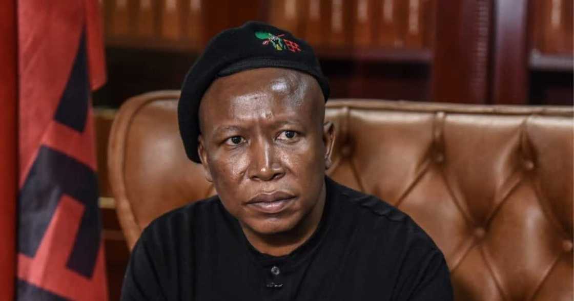 Malema slams Ramaphosa calling him incompetent, incapacitated and unreliable Malema slams Ramaphosa calling him incompetent, incapacitated and unreliable