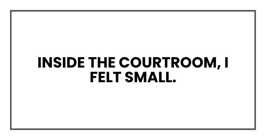 Inside the courtroom, I felt small.