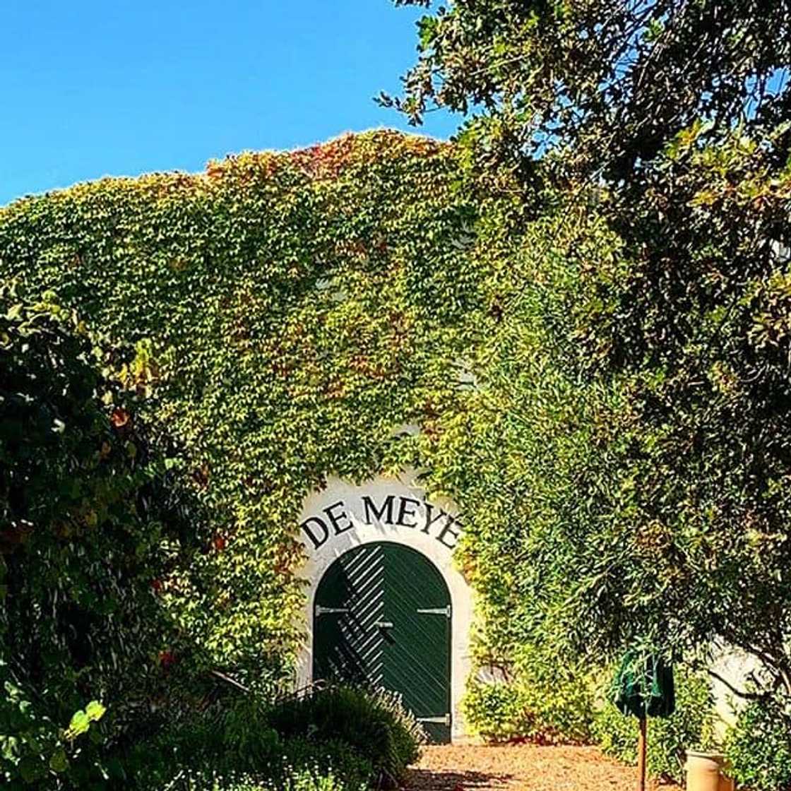 The best restaurants in Stellenbosch wine farms The best restaurants in Stellenbosch wine farms