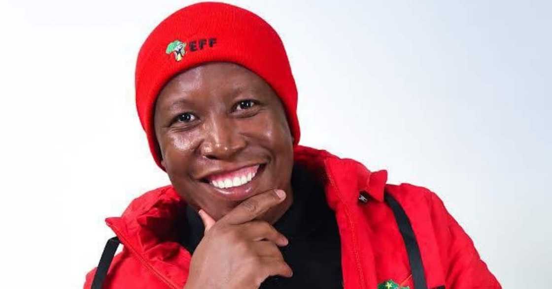 Julius Malema's EFF says no to 'mjolo' during the second wave lockdown Julius Malema's EFF says no to 'mjolo' during the second wave lockdown