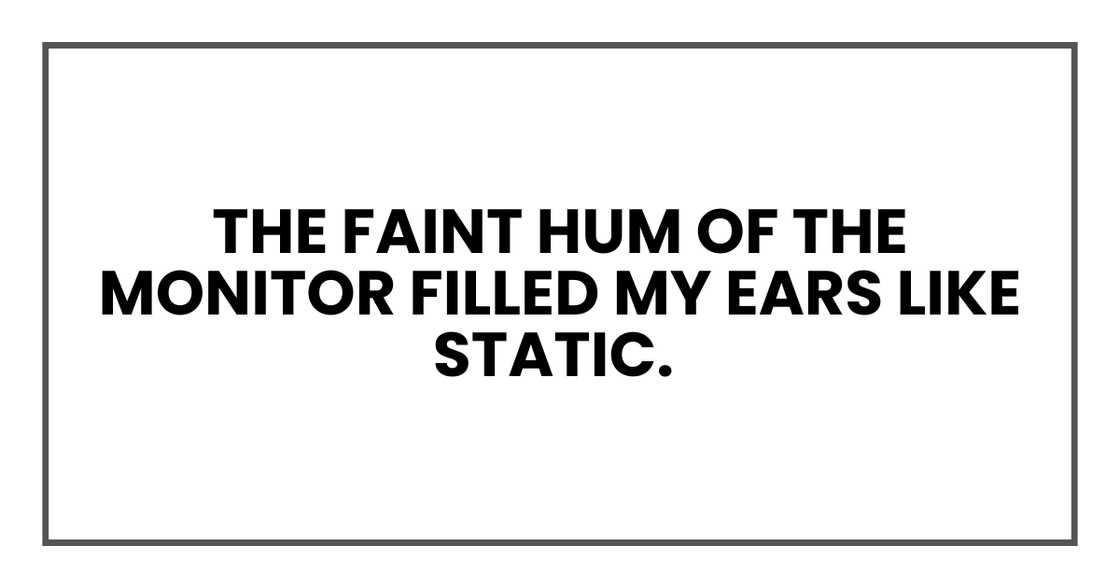 THE FAINT HUM OF THE MONITOR THE FAINT HUM OF THE MONITOR