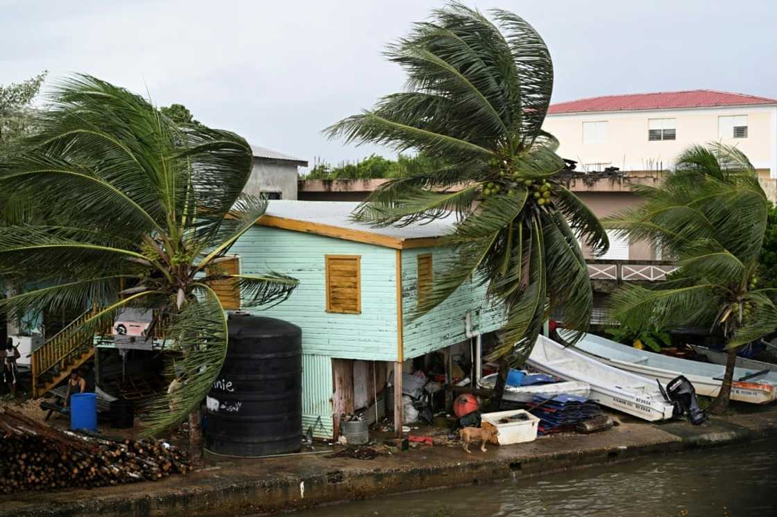 The northern part of Central America was on high alert as Tropical Storm Lisa hit The northern part of Central America was on high alert as Tropical Storm Lisa hit