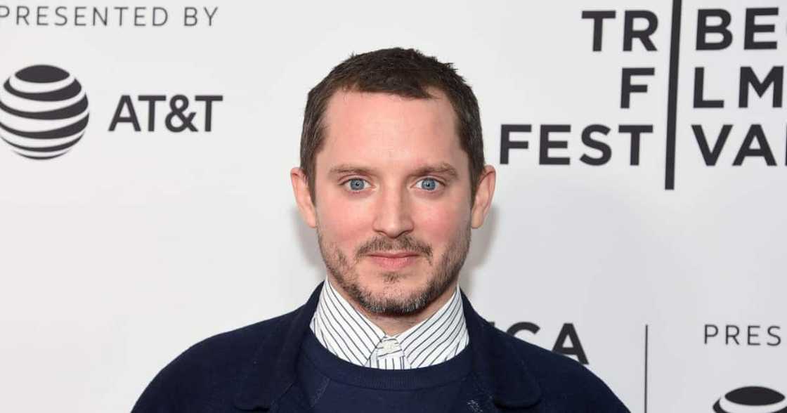 Elijah Wood's movies