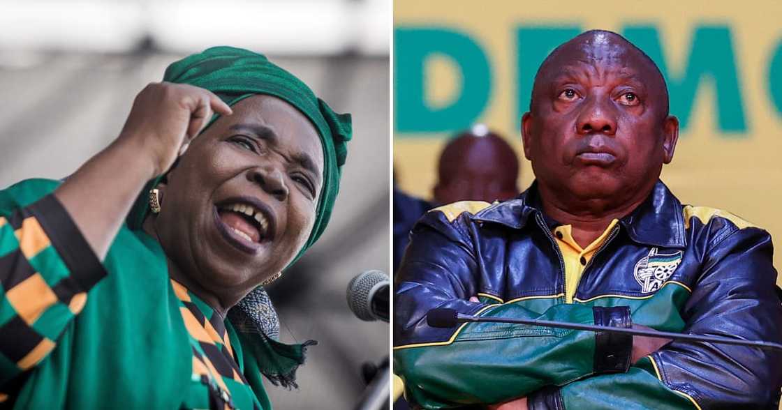 Nkosazana Dlamini-Zuma says Ramaphosa must step aside Nkosazana Dlamini-Zuma says Ramaphosa must step aside