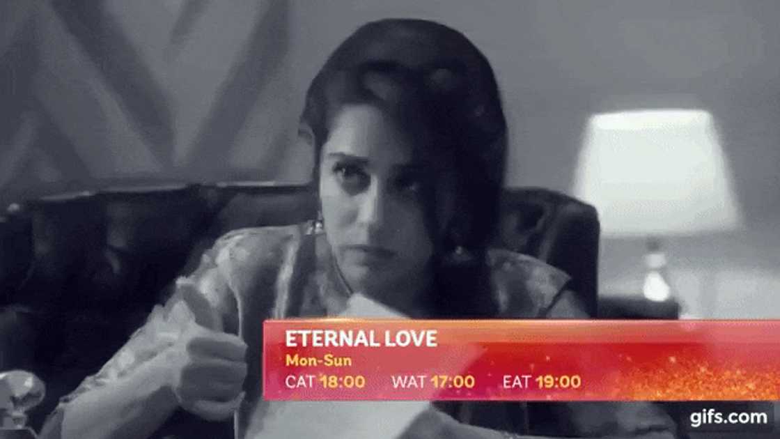 Eternal Love Eternal Love