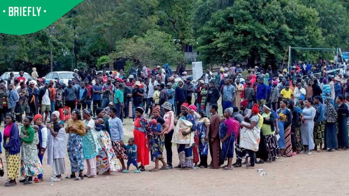 Malawians