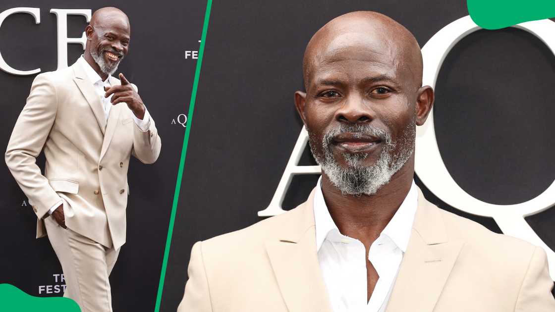 Djimon Hounsou's net worth Djimon Hounsou's net worth