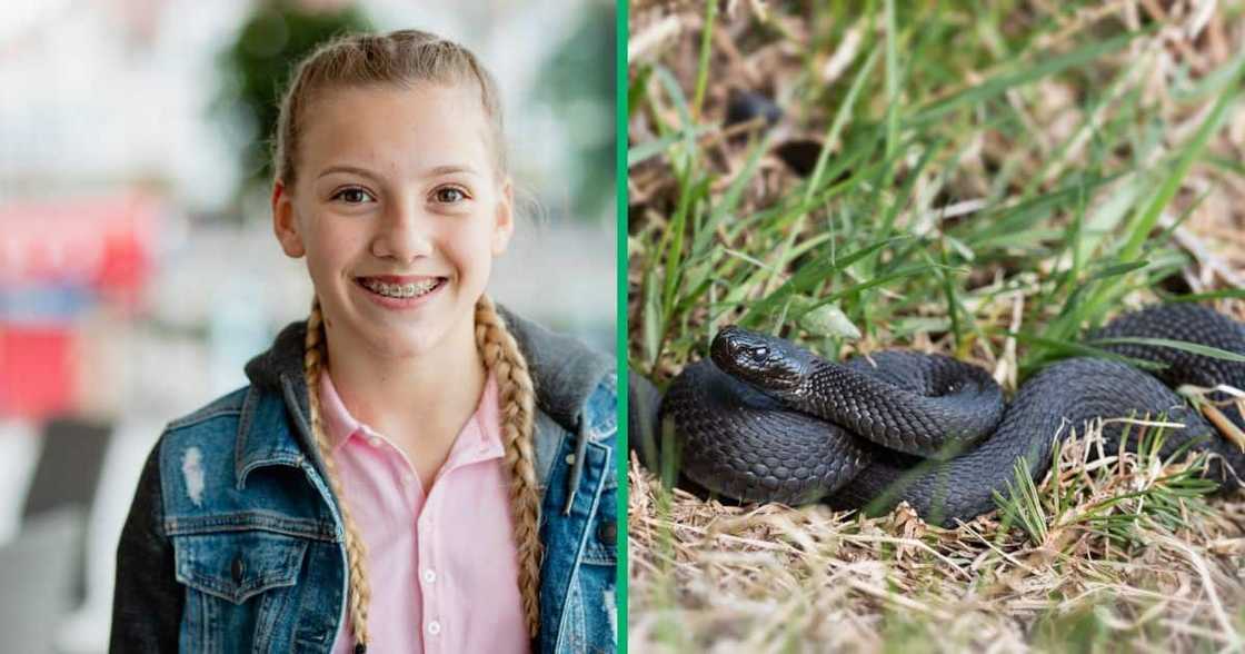 A Facebook video shows a 12-year-old saving her guinea pig from a snake.