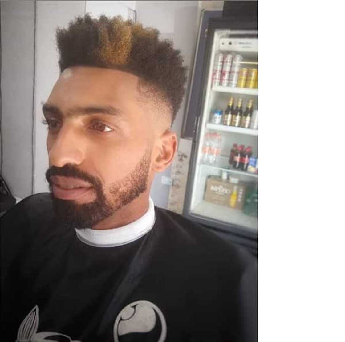 natural afro hairstyles natural afro hairstyles