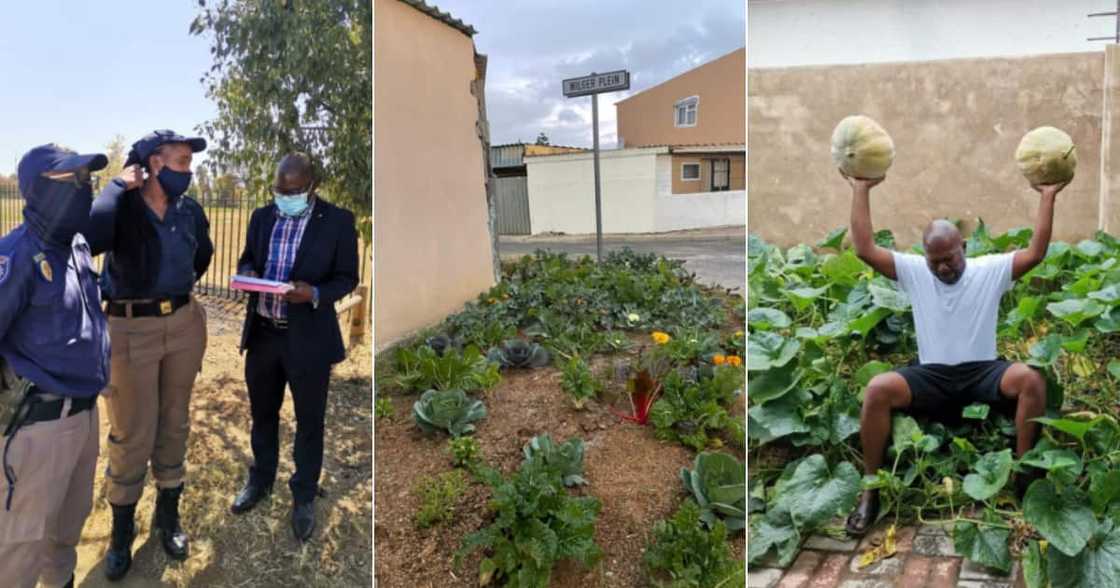 Djo BaNkuna, Vegetables, Sidewalk, Community, Support, Social media reactions Djo BaNkuna, Vegetables, Sidewalk, Community, Support, Social media reactions