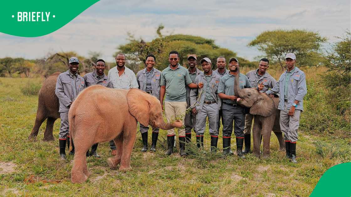 Rescued elephant gives Ranger a hug