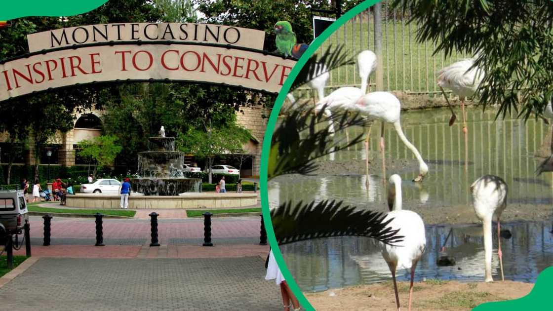 aquariums in gauteng aquariums in gauteng