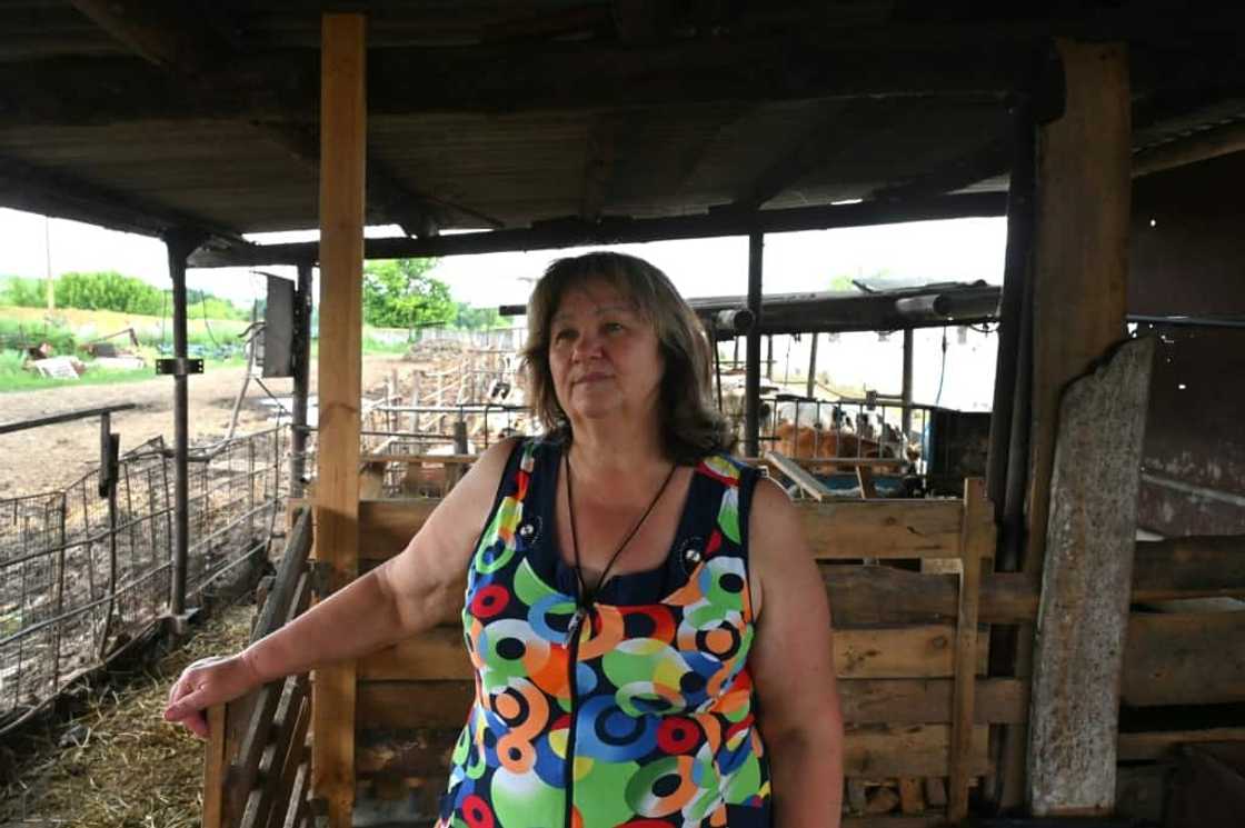 It was a 'nightmare' recalls owner Lyubov Zlobina, 62, who says she is 'haunted by the howls of cows burned alive' during the attacks on March 26