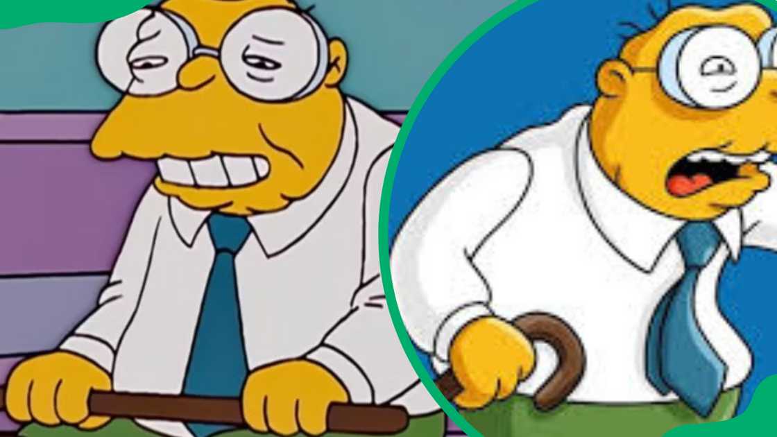 Hans Moleman from The Simpsons Hans Moleman from The Simpsons