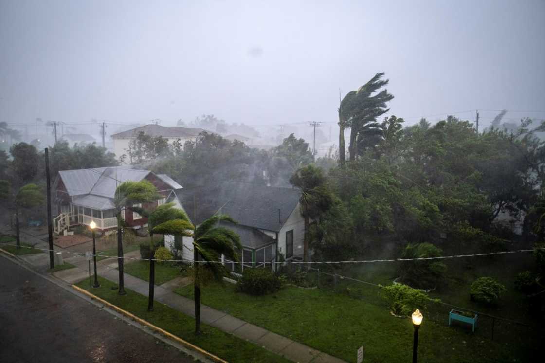 Gusts from Hurricane Ian whip palm treets in Punta Gorda, Florida Gusts from Hurricane Ian whip palm treets in Punta Gorda, Florida
