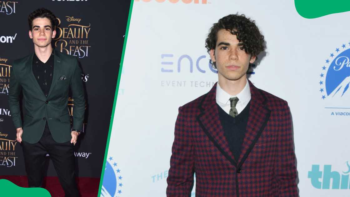 Cameron Boyce at the 9th Annual Thirst Gala