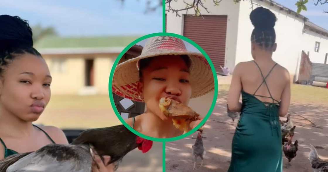 Mzansi, woman, fashion, chicken, TikTok video Mzansi, woman, fashion, chicken, TikTok video