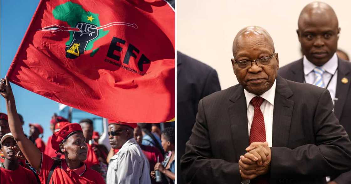 EFF defends Zuma against impending imprisonment