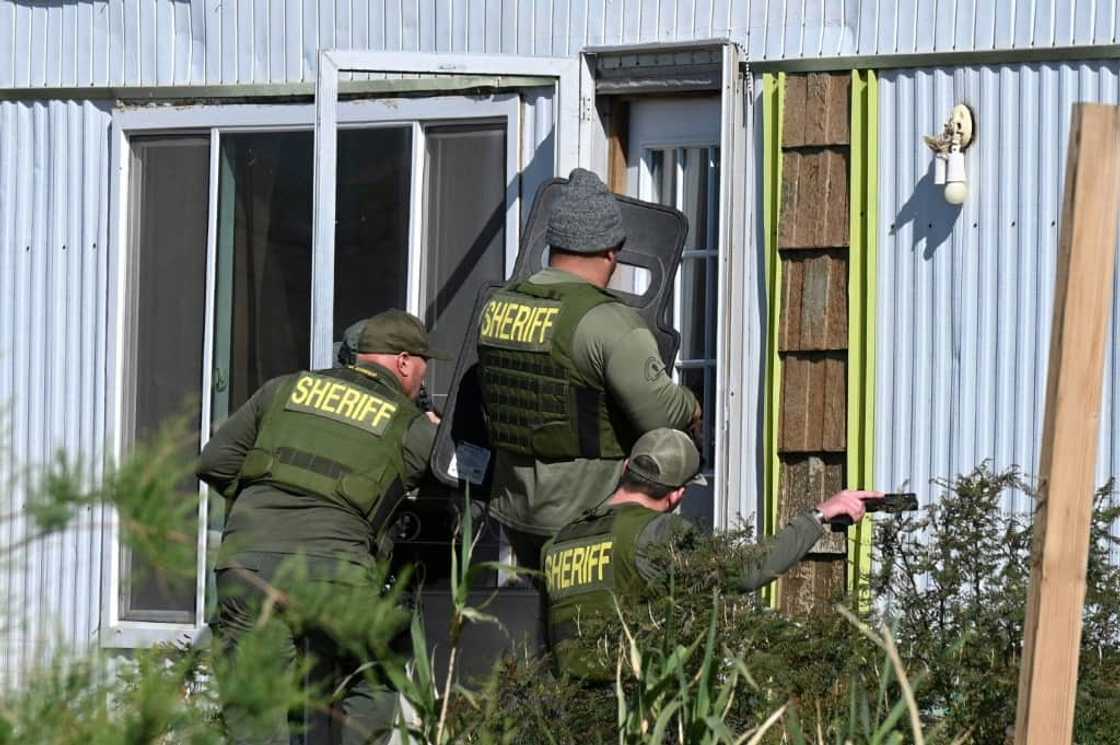 Illegal growers are often one step ahead of the officers who raid the farms, having left before the armed deputies arrive Illegal growers are often one step ahead of the officers who raid the farms, having left before the armed deputies arrive
