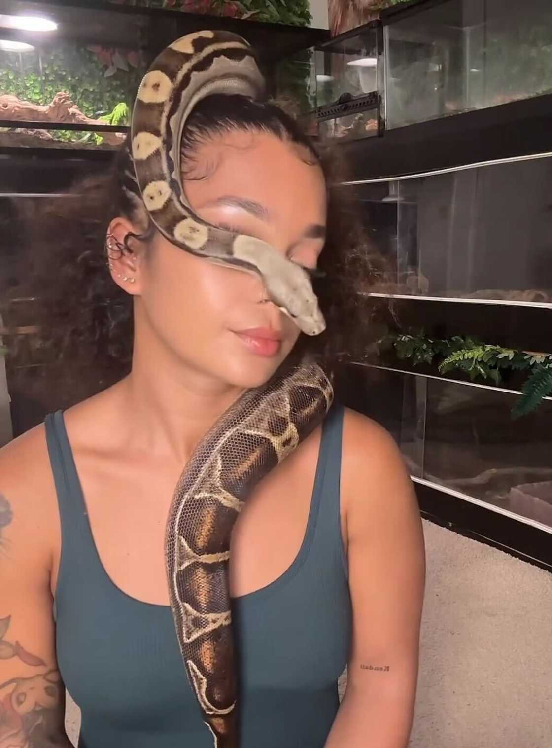 A woman sat as her pet snake curled over her face and covered it. A woman sat as her pet snake curled over her face and covered it.