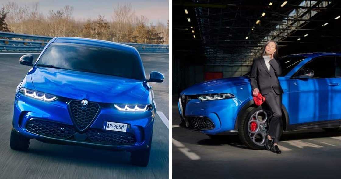 Alfa Romeo, SUV, Tonale, hybrid, electric, range 800km, 205kW Alfa Romeo, SUV, Tonale, hybrid, electric, range 800km, 205kW