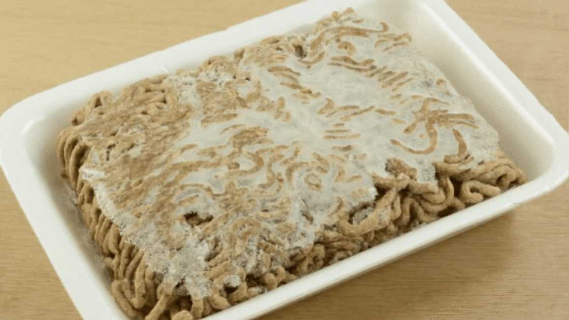 Ground meat that has gone bad Ground meat that has gone bad