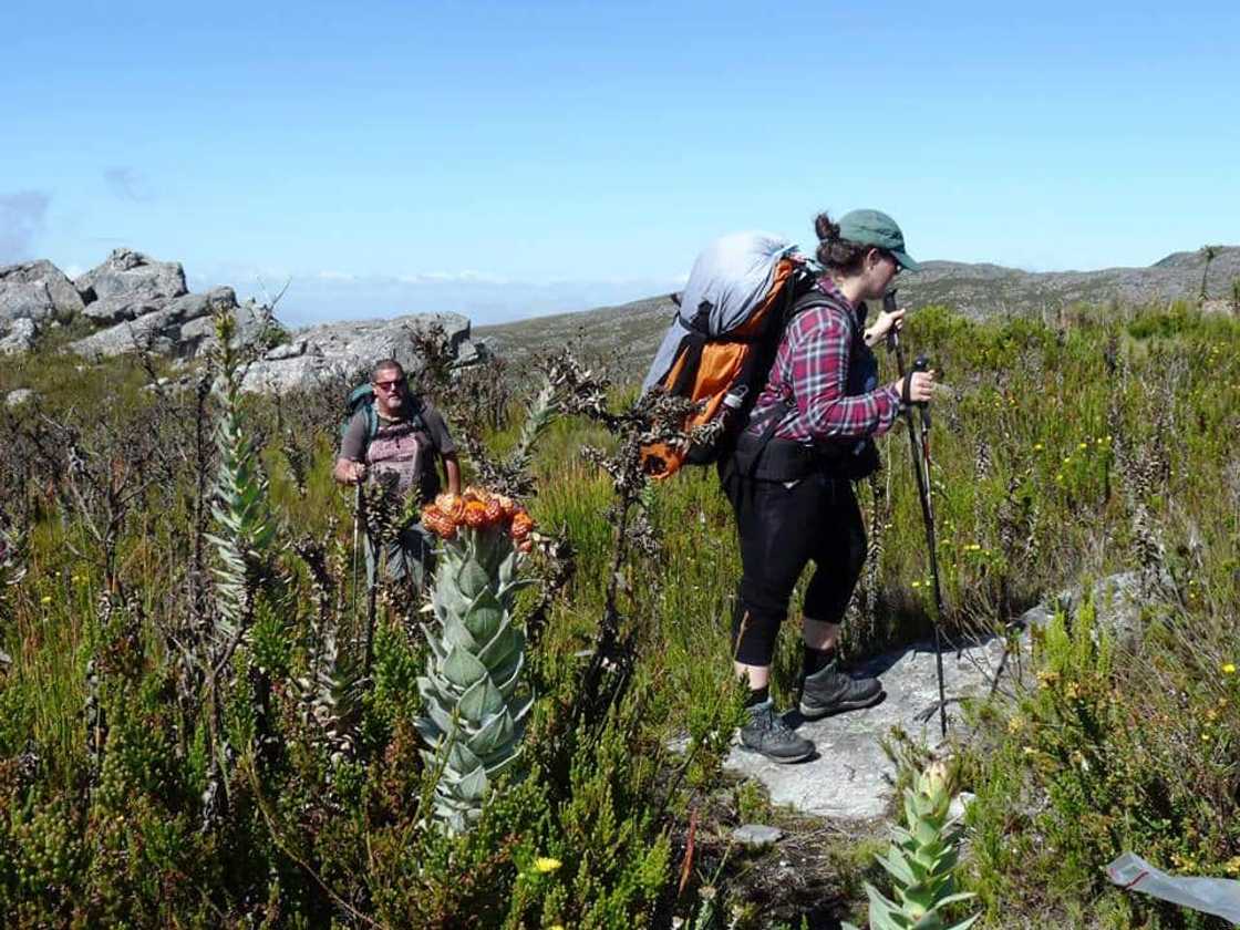 15 of the best hiking trails and walking trails in South Africa