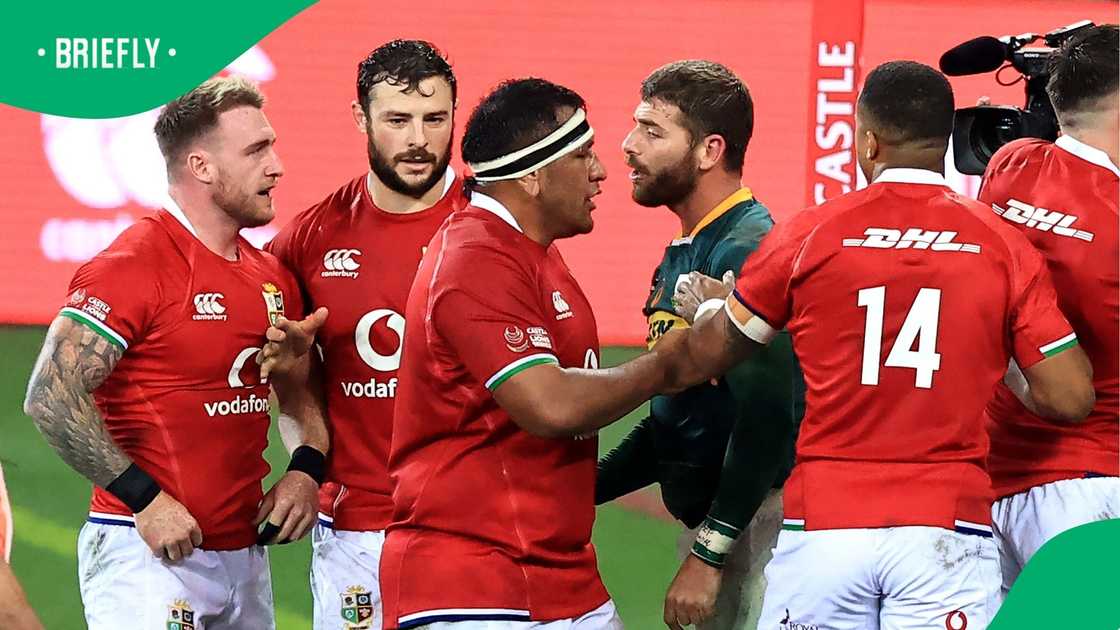 Stuart Hogg, Scotland, Springboks, Willie le Roux Stuart Hogg, Scotland, Springboks, Willie le Roux