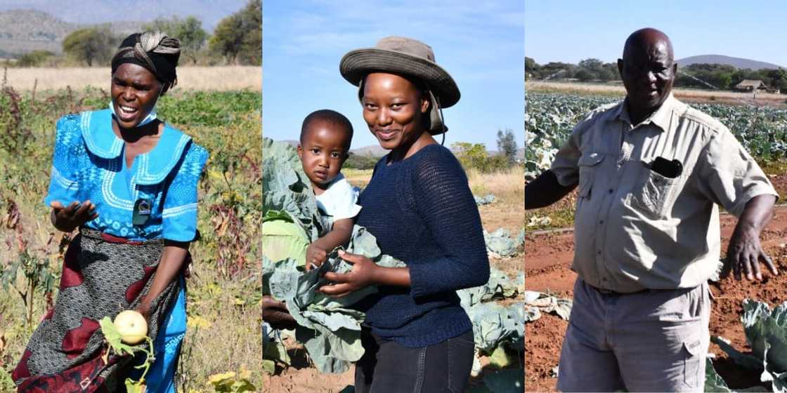 "Our Land, Our Heritage": SA Citizens Get Land, Cyril Ramaphosa Shares Snaps "Our Land, Our Heritage": SA Citizens Get Land, Cyril Ramaphosa Shares Snaps