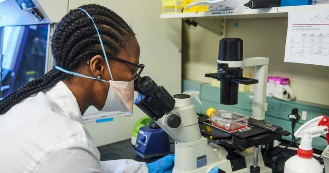 Omicron, Covid-19, Delta, variants, coronavirus, South African scientists, NICD Omicron, Covid-19, Delta, variants, coronavirus, South African scientists, NICD