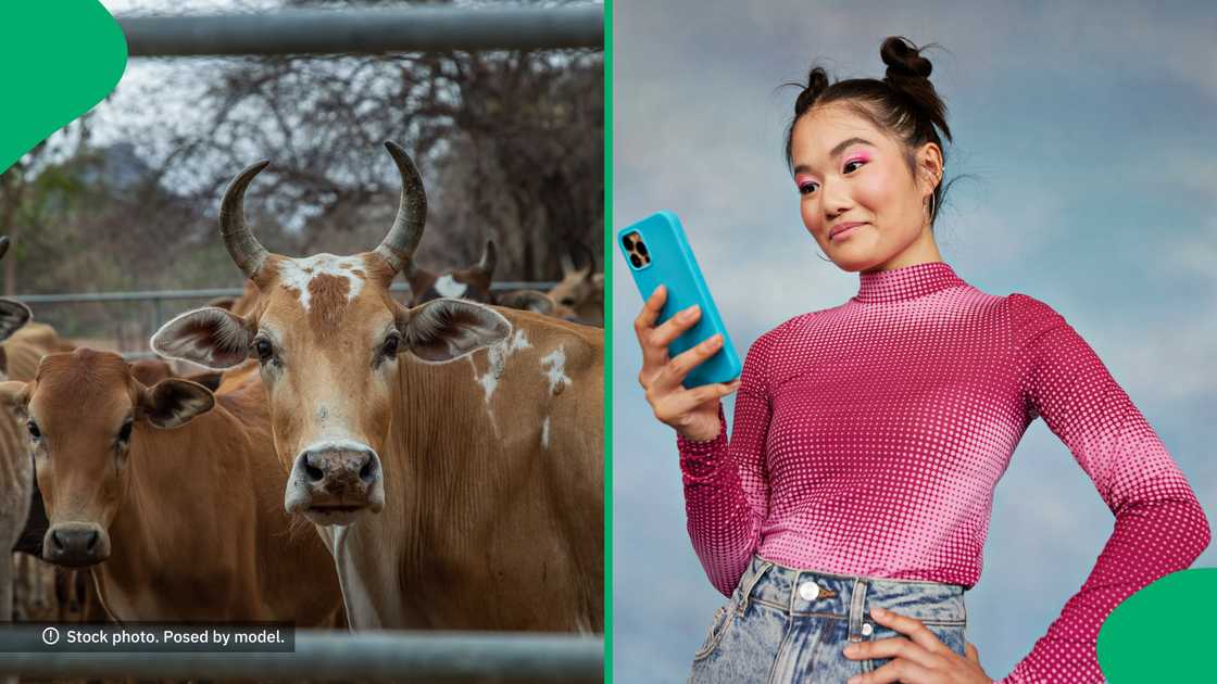 Mzansi were left amused after two residences conducted some lobola proceedings. Mzansi were left amused after two residences conducted some lobola proceedings.