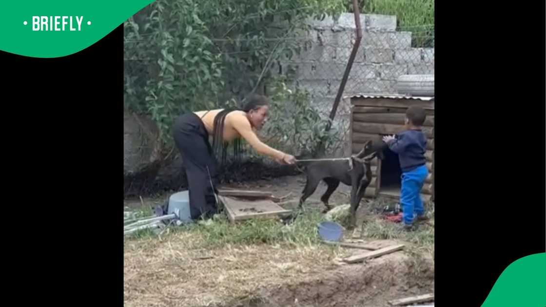 A video went viral on Facebook. A video went viral on Facebook.
