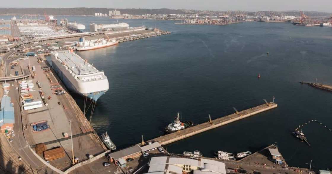 cocaine, Hawks, drug bust, SAPS, SAPF, Durban harbour cocaine, Hawks, drug bust, SAPS, SAPF, Durban harbour