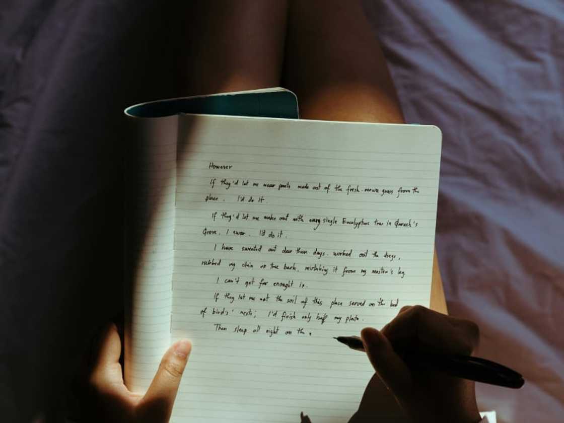 Diary entry sample Diary entry sample