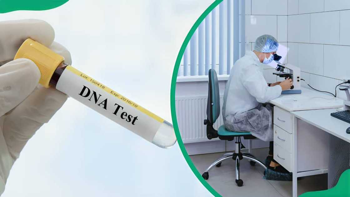 How much is a DNA test price in Johannesburg How much is a DNA test price in Johannesburg