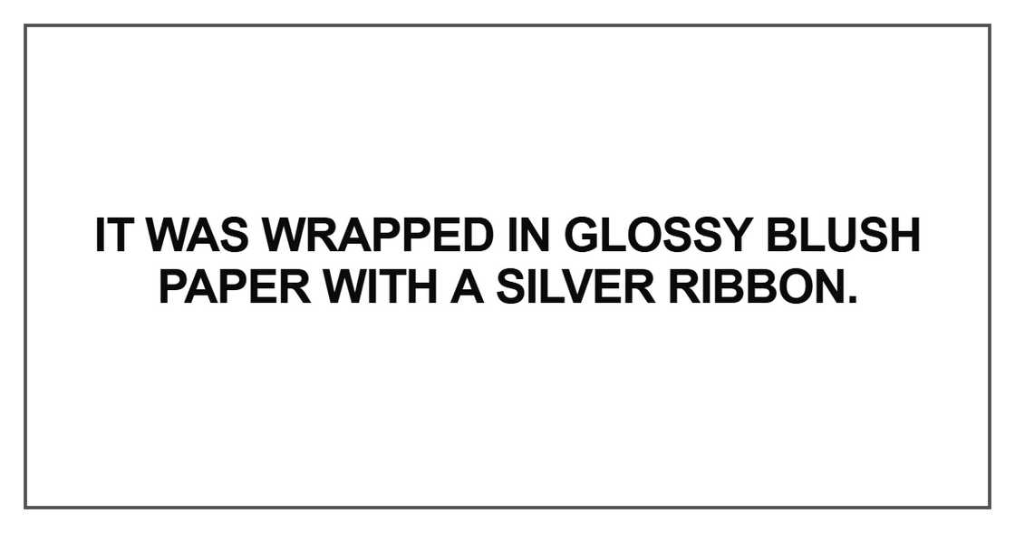 It was wrapped in glossy blush paper with a silver ribbon It was wrapped in glossy blush paper with a silver ribbon