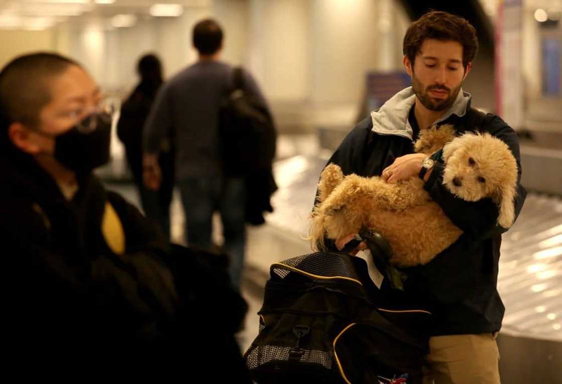 Couple demand full refund after sitting next to emotional support dog during a flight from Paris. Couple demand full refund after sitting next to emotional support dog during a flight from Paris.