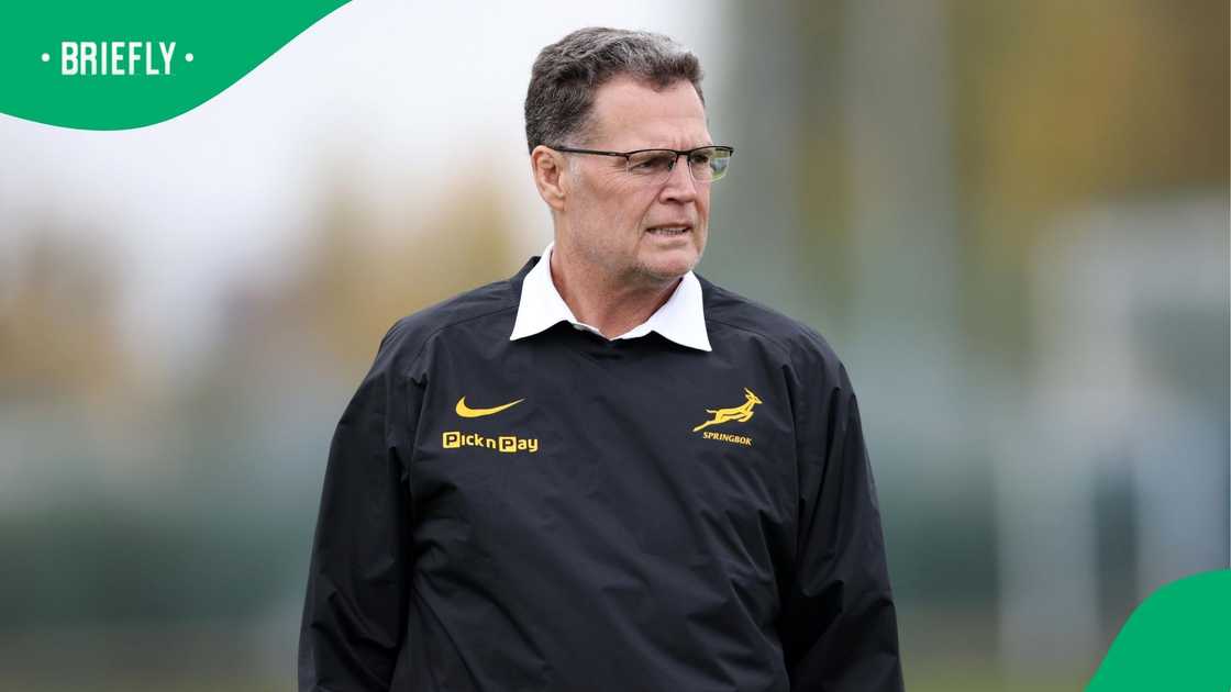 Rassie Erasmus, Springboks, South Africa, Rugby Championship.